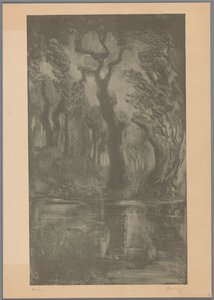 Vand i skoven Dream Forest (original titel) af Simon Moulijn (signed by artist)