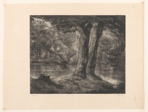 Vand i en skov Forest view (original titel) af Simon Moulijn (signed by artist)