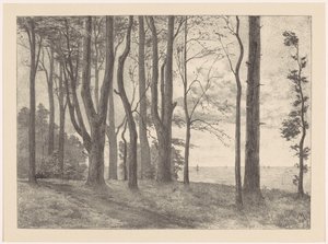 Træer ved vandet med sejlbåde Valkeveen (original titel)