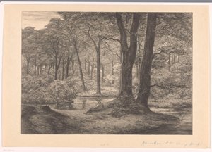 Udsigt over Hunnenschans på Veluwe The Hunnenschang (original titel)