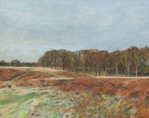 Richmond Park, 2019 (olie på lærred) af Simon Neville
