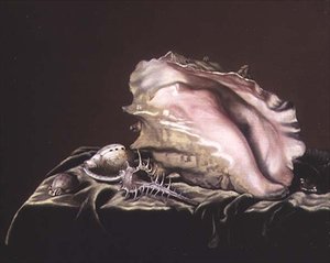 Stilleben af Shells
