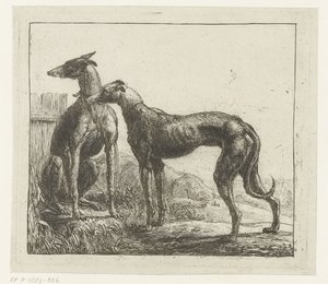 To greyhounds Forskellige dyr (serietitel) Kite Bugs (serietitel) af Simon de Vlieger