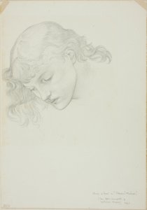 Head, Study for Mirror of Venus af Sir Edward Burne Jones