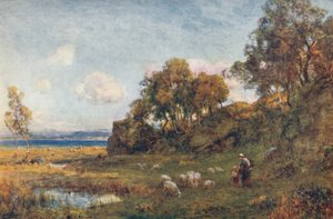 Beskyttede græsgange, c1900.