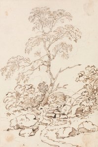 Træ for trin af Sir George Howland Beaumont seventh Baronet