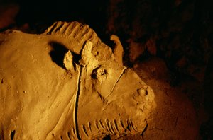 Detalje af en bisonokse formet af ler for ca. 14.000 år siden fra Tuc d