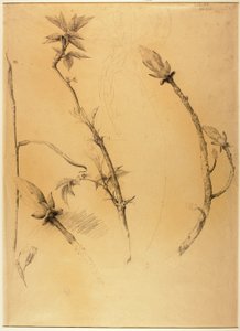 Afdelinger af Solon H. Borglum