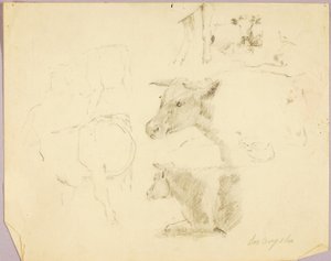 Køer af Solon H. Borglum