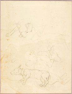 Hunde af Solon H. Borglum
