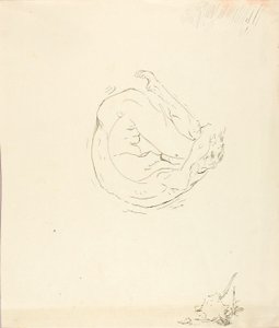 Drømmen om en Broncho #9 af Solon H. Borglum