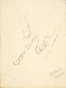Hest af Solon H. Borglum