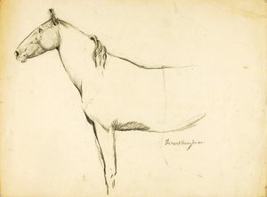 Hest af Solon H. Borglum
