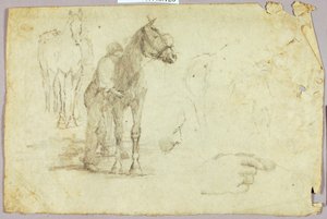 Hest og rytter af Solon H. Borglum