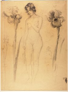 Nøgen og iris af Solon H. Borglum