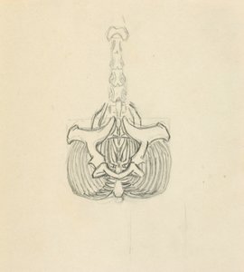 Bækken af Solon H. Borglum