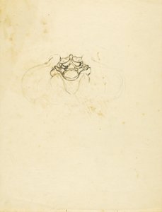 Bækken af Solon H. Borglum