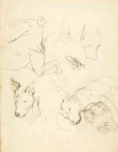 Sovende hunde af Solon H. Borglum