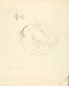 Svømmer af Solon H. Borglum