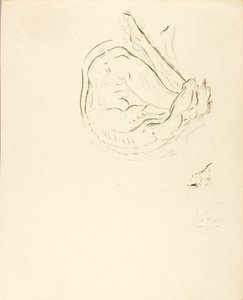 Svømmer af Solon H. Borglum