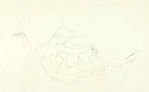 Svømme nøgen af Solon H. Borglum