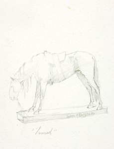 Tæmmet af Solon H. Borglum