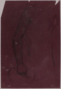 Torso, studie til ryttermonument