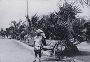 Kørsel i Rickshaws ved Bay Esplanade, Durban (eller/og foto) af South African Photographer