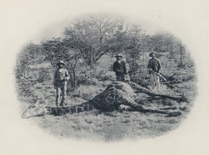 Storvildtjagt i Transvaal (s/h-billede) af South African Photographer