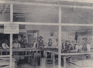 Diamantsortering, Wesselton Mine (s/h-billede) af South African Photographer