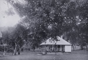 Mitchell Park, Durban (s/h-billede) af South African Photographer