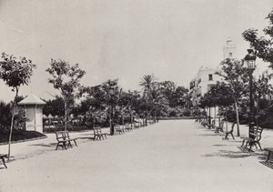 Cadiz: Alameda de Apodaca (s/h foto)