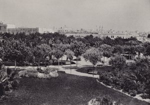 Cadiz: Parque Genoves (s/h-billede) af Spanish Photographer