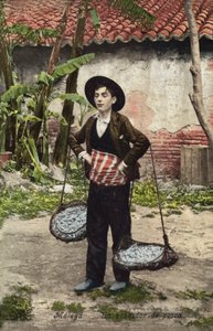 Fiskesælger, Malaga, Spanien (foto i farver) af Spanish Photographer
