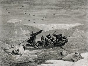 Jagt hvalros med harpuner på Spitsbergen-øerne, Svalbard-øgruppen, illustration fra 