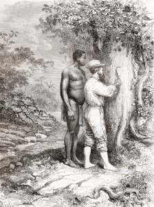 Jules Crevaux skar under sin udforskning af Fransk Guyana i 1878 sine initialer på et træ på bredden af Oyapock- eller Oiapoque-floden af Spanish School