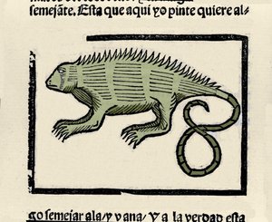 Repræsentation af en leguan. Indgravering fra bogen "General history of the Indias, islands and continent of the ocean sea"" af Gonzalo Fernandez de Oviedo (Gonzalo) eller Fernandez de, ou Hernandez de Oviedo y Valdes (1478-1557) af Spanish School