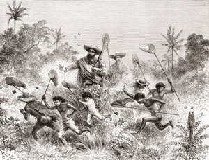 Édouard François André fanger sommerfugle i Villavicencio, Venezuela under sin botaniseringsekspedition ved foden af Andesbjergene i 1875-76 af Spanish School