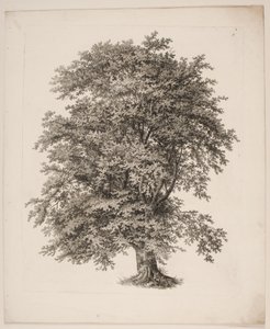 "Studier efter Naturen med Hensyn til Landskabstegning af S.H. Petersen", nr. 2