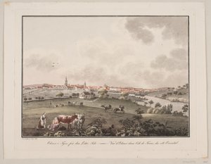 Odense på Fyn, fra den østlige side
