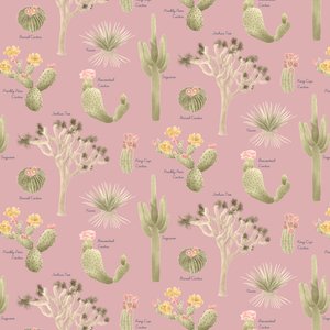Mojave Desert Cacti-mønster, 2021 (grafitblyant og digital) af Stacy Hsu