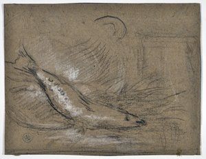 Fiskestudie (tegning) af Stanislas Torrents y de Amat