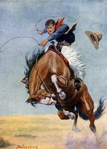 Bukke-jumperen (farve litho)