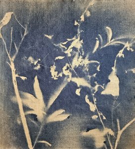 Blå botanisk silhuet af Stefano Mazzolini
