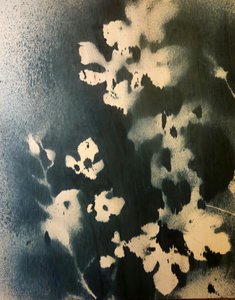 Mørke botaniske blade af Stefano Mazzolini