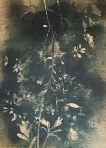 Mørk botanisk studie af Stefano Mazzolini