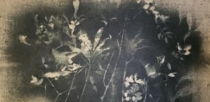 Mørk botanisk studie af Stefano Mazzolini