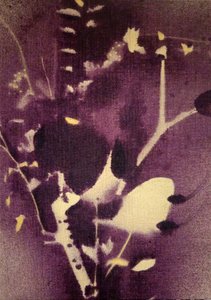Dybt lilla botaniske motiver af Stefano Mazzolini