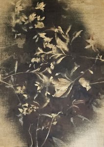Stemningsfulde blomsterskygger