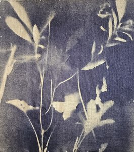 Vintage botaniske blå nuancer af Stefano Mazzolini